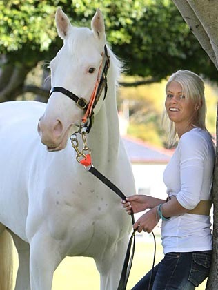 [572278-white-horse[4].jpg]