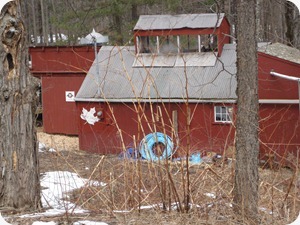 IMG_4355 IMG_4355