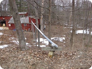 IMG_4371 IMG_4371