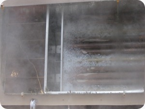 IMG_4365 IMG_4365