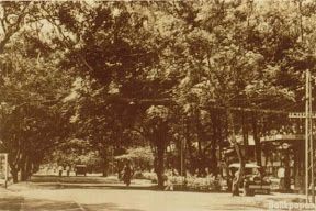 SPBU; 1920.jpg