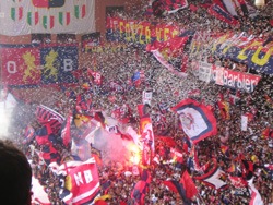 [genoa[3].jpg]