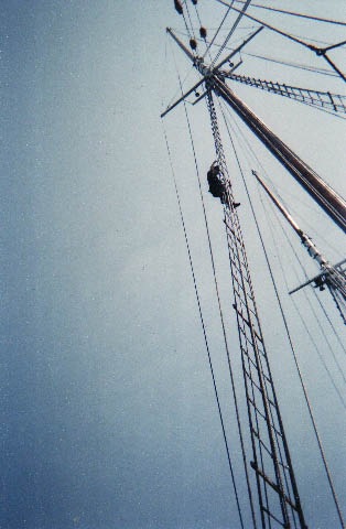 [Image1-156[5].jpg]