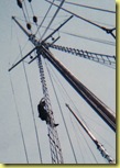 Image1-155