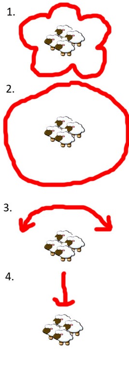 [sheep2[4].jpg]