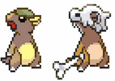 Cubone_kangaskhan Cubone_kangaskhan