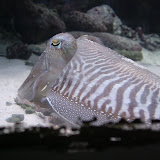 GEDC0056.JPG