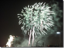 DSCN9262