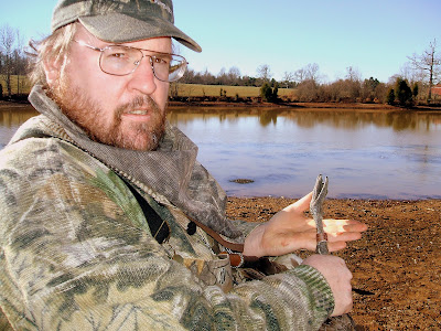 My Banded Goose