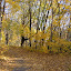 AutumnColors-4.jpg