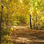 AutumnColors-5.jpg
