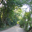 Lakewalk-5.jpg