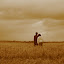 Farm-6.jpg