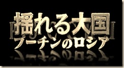 动荡的大国 普京的俄罗斯