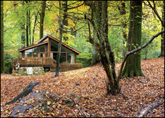 Forest of Dean Lodges