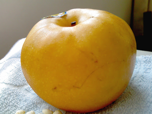 Chinese Pear