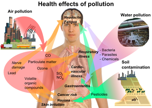 [300px-Health_effects_of_pollution[2].png]