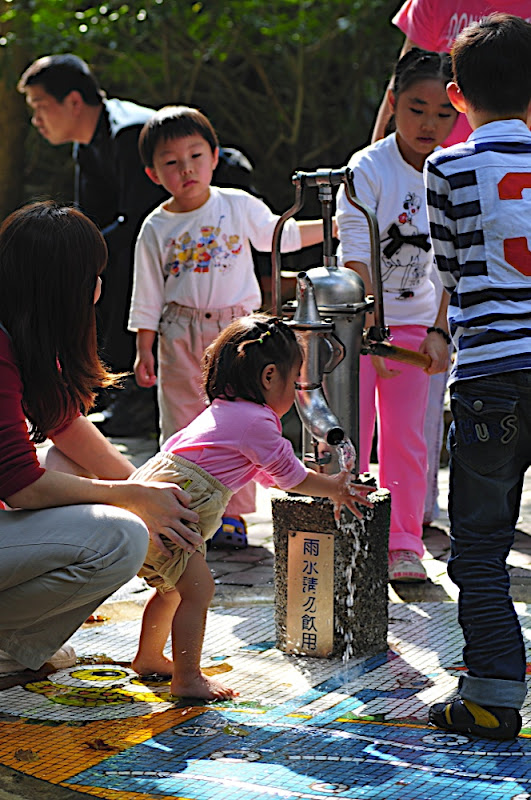 http://lh4.ggpht.com/_C8wxUsUv3z4/S2-qG4UhgdI/AAAAAAAAFeY/TTHaTrTFbvg/s800/DSC_1061.jpg