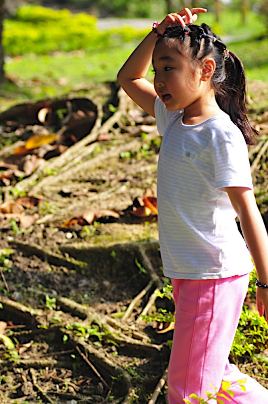 http://lh4.ggpht.com/_C8wxUsUv3z4/S2-r2di79_I/AAAAAAAAFj0/DWWeE0a89Js/s800/DSC_1141.jpg