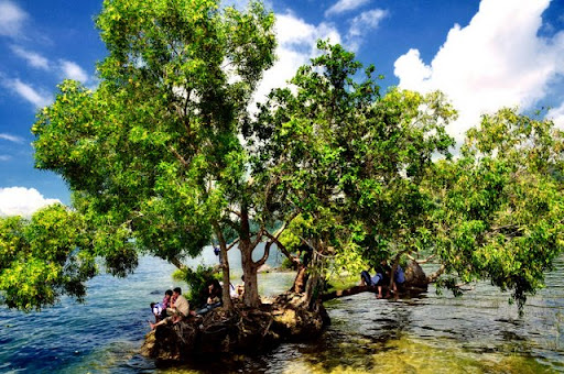 Danau Singkarak