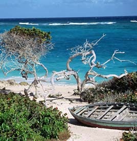 [Bathsheba-Beach-Barbados-001[10].jpg]