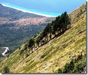 llogara3