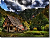 Diber