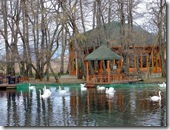 Pogradec