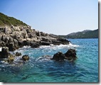 IMG_0798_1