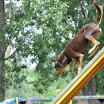 DSC_0205.JPG