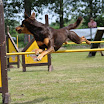DSC_0212.JPG