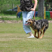 DSC_0247.JPG