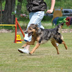 DSC_0248.JPG