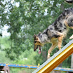 DSC_0252.JPG