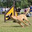 DSC_0274.JPG