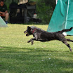 DSC_0395.JPG