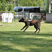 DSC_0510.JPG