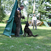 DSC_0539.JPG