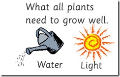 All plants need