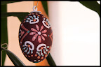 Here are some of our easter eggs.
