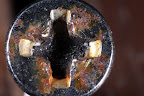 Canon MP-E 1-5x 65mm Macro Lens