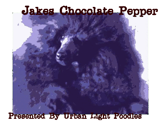 Jakes Chocolate Pepper