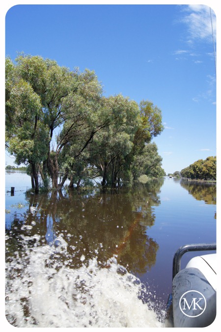 [floods 10[3].jpg]