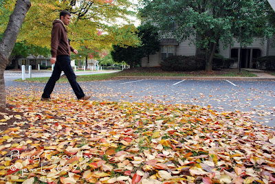 fall 09