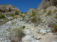 P1010494.JPG