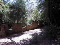 DSCN0473.JPG
