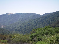 DSCN0476.JPG