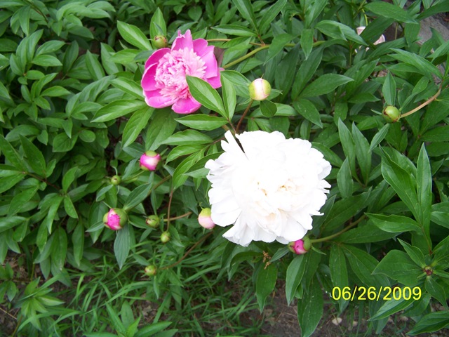 [100_02564.jpg]