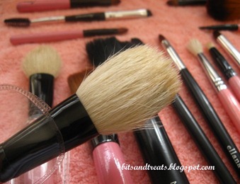 dried charm powder brush, by bitsandtreats