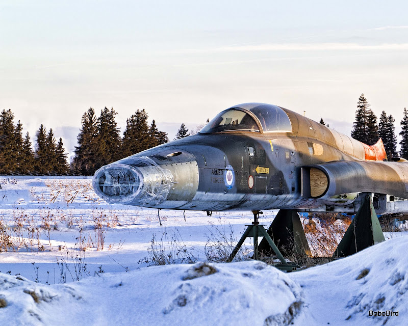 IMAGE: http://lh4.ggpht.com/_CJO7PukdLlc/TUmYwuMMAoI/AAAAAAAAEoQ/ss-Bo_TLcXc/s800/20110130_5247.jpg